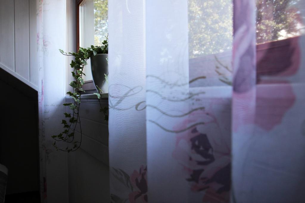 Lake House Apartment メドヴォデ エクステリア 写真