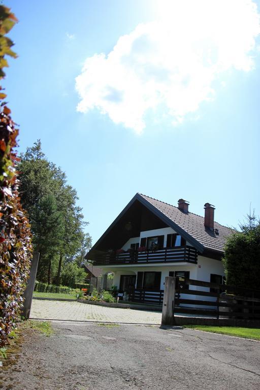 Lake House Apartment メドヴォデ エクステリア 写真