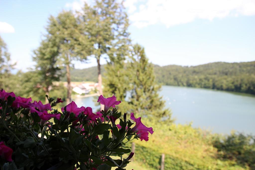 Lake House Apartment メドヴォデ エクステリア 写真