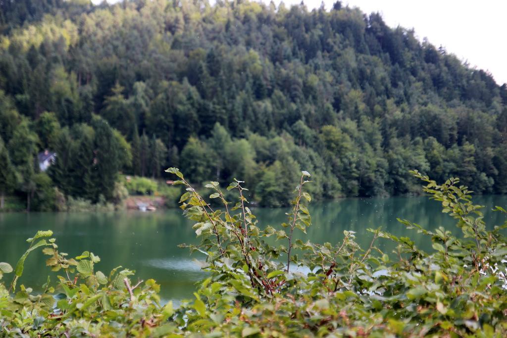 Lake House Apartment メドヴォデ エクステリア 写真