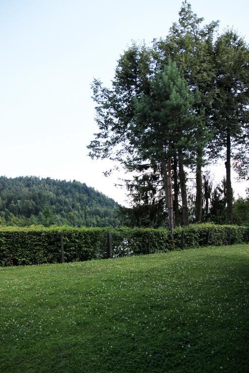 Lake House Apartment メドヴォデ エクステリア 写真