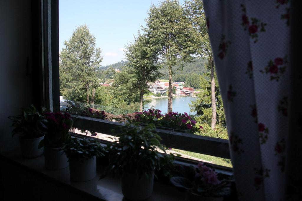 Lake House Apartment メドヴォデ エクステリア 写真