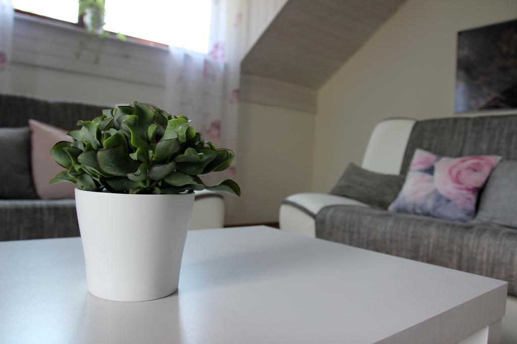 Lake House Apartment メドヴォデ エクステリア 写真