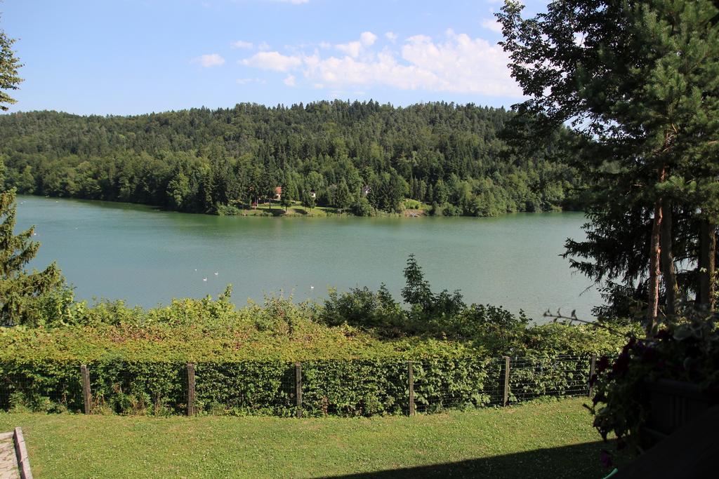 Lake House Apartment メドヴォデ エクステリア 写真